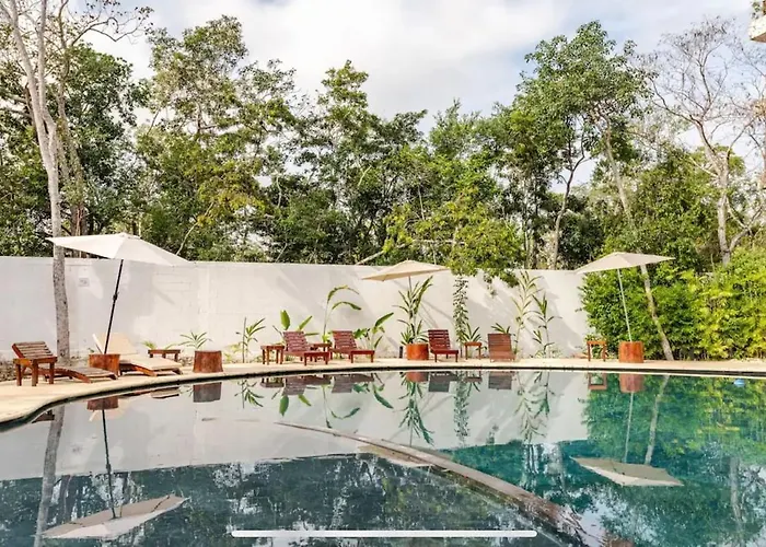 Family In The Jungle With Cenotes And Big Pool